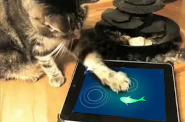 Omzet Pijler interieur Katten spelen spelletjes op iPad [VIDEO] | ID.nl