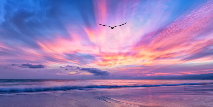 kleurige wolken bij zonsondergang met vogel