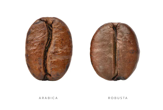 Arabica koffiebonen versus Robusta koffiebonen