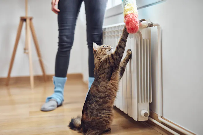 Radiator schoonmaken