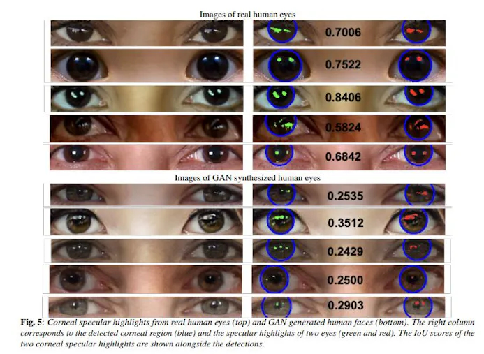 Software ontmaskert deepfakes via reflectie in ogen van nepmensen-15083567