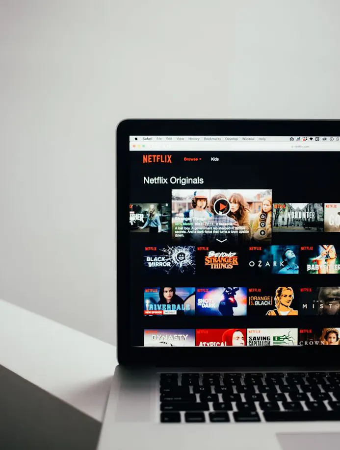 Kijk het Amerikaanse Netflix-aanbod met GOOSE VPN-15788861