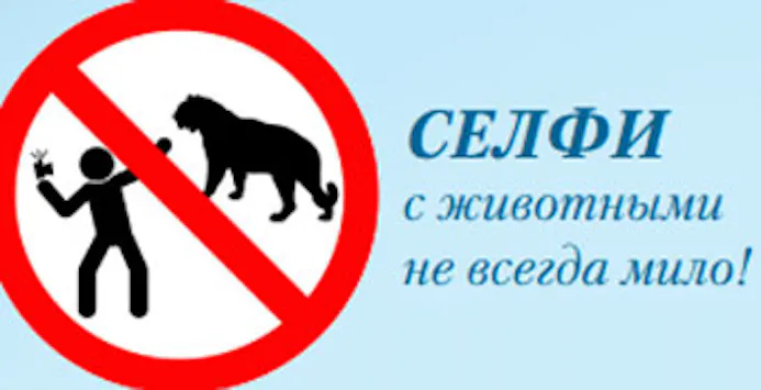Rusland waarschuwt voor gevaar van selfies-15797034