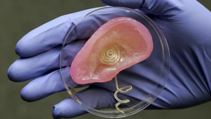 3D-geprint bionisch oor hoort miljoen keer beter-16255059