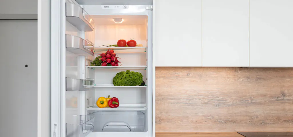 Je kunt besparen op het verbruik van je koelkast
