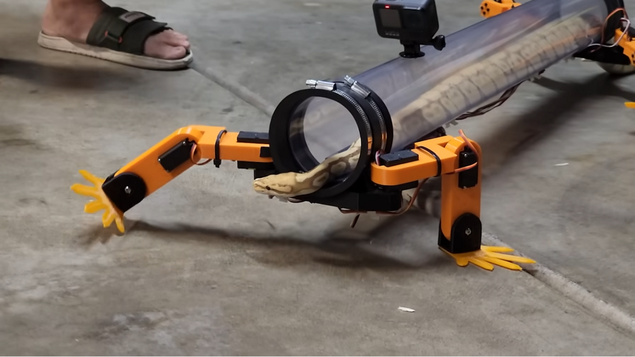 Robotica voor dieren: slang met robotpoten