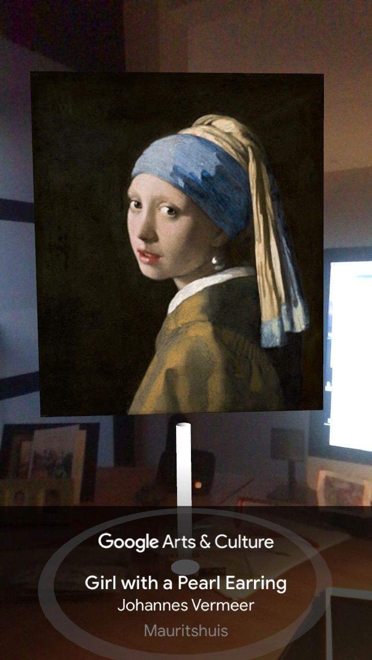 Google Art - Een Vermeer in je woonkamer