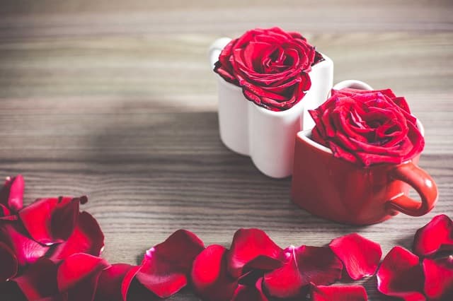 Apps voor een anti-zoetsappige Valentijnsdag