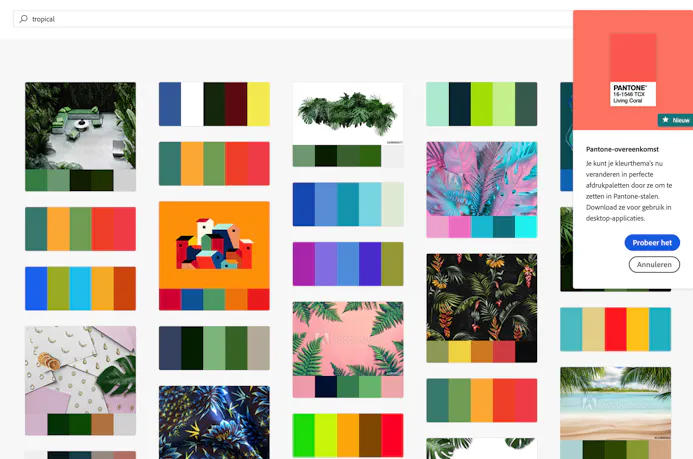 06 Op basis van zoekwoorden vindt Adobe Color passende kleurschema’s.