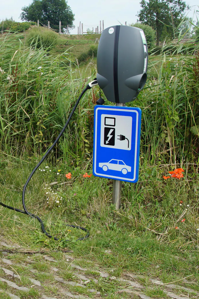 Er komen veel meer elektrische auto’s dan laadpalen bij in Nederland.