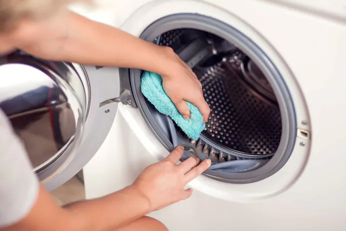 Vetluis (wasluis) hoopt zich vaak op in de rubberen afsluitring van de deur van je wasmachine.