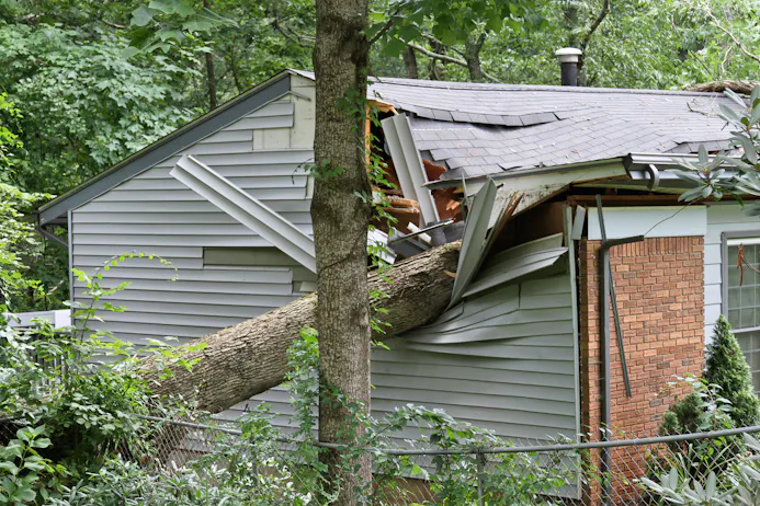 Huis is beschadigd door omgevallen boom