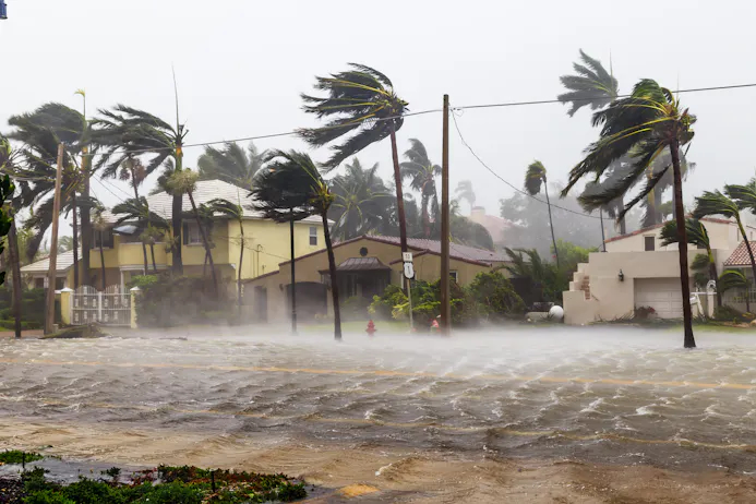 Palmbomen, huizen en water in krachtige storm