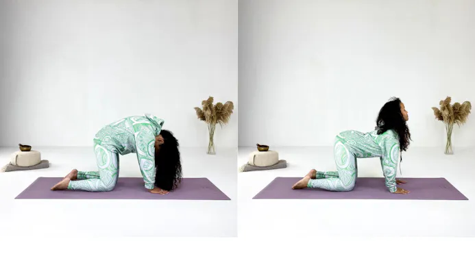 Yoga kathouding koehouding