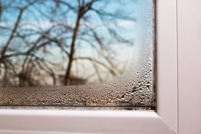Als het te vochtig is in huis, kan er schimmel ontstaan, bijvoorbeeld bij de ramen,
