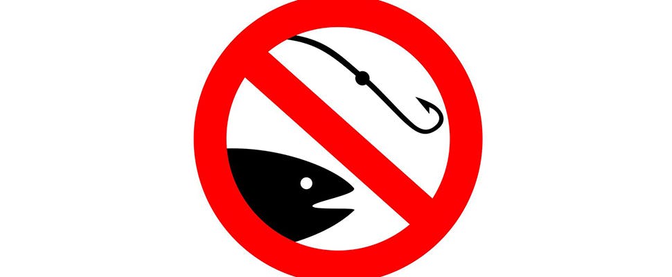 Financiële schade door phishing verviervoudigd in 2018