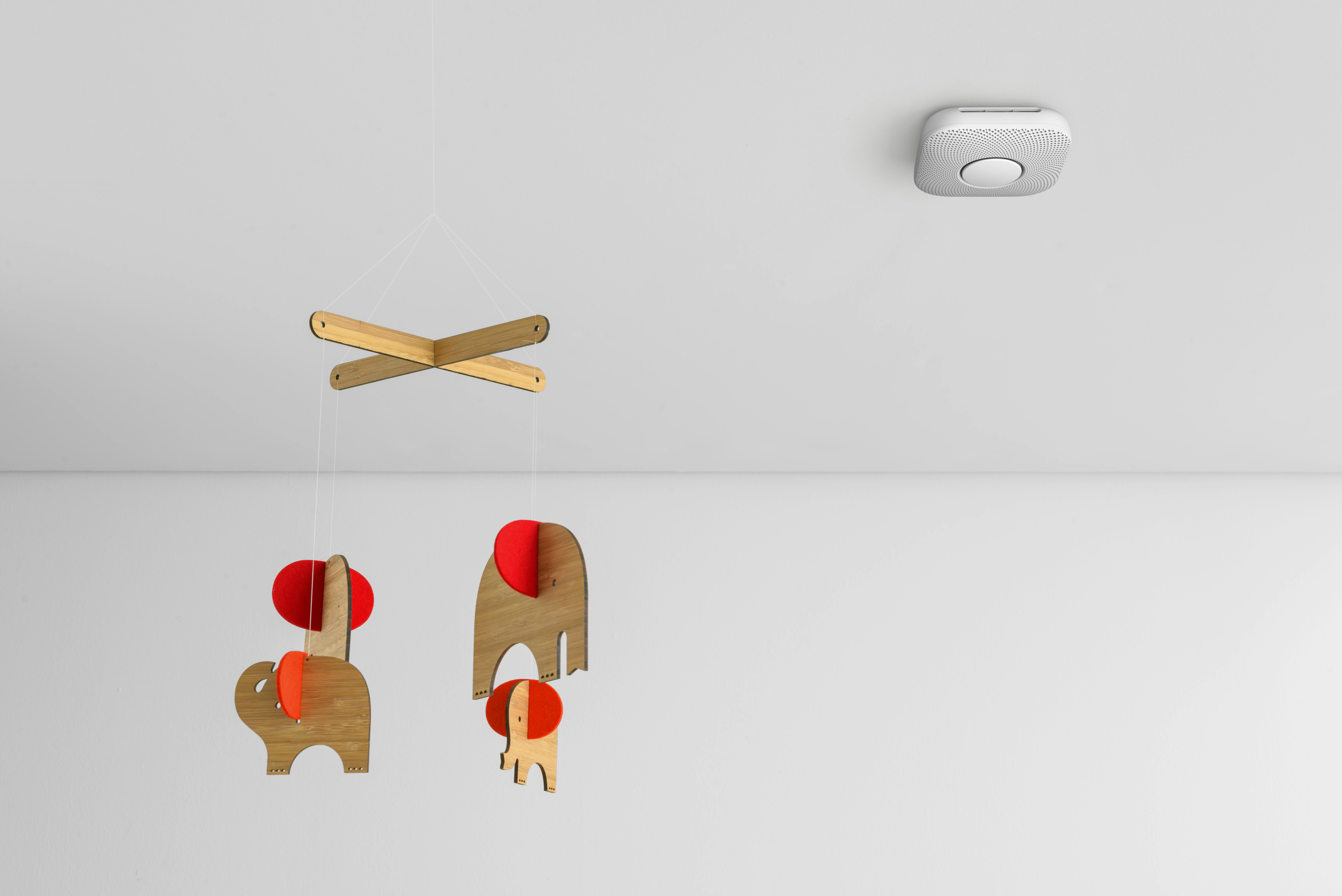 Onmisbare veiligheidsassistent voor thuis