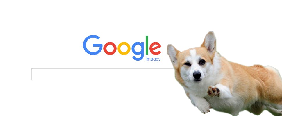 Bewegende plaatjes (animated gifs) vinden met Google Afbeeldingen