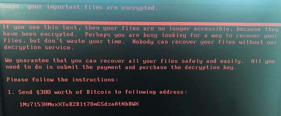 'Nederland in top 5 slachtoffers Petya-aanval'