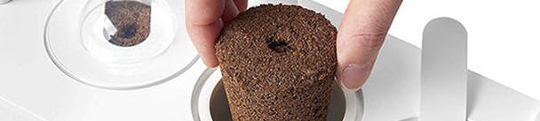 Media has no description