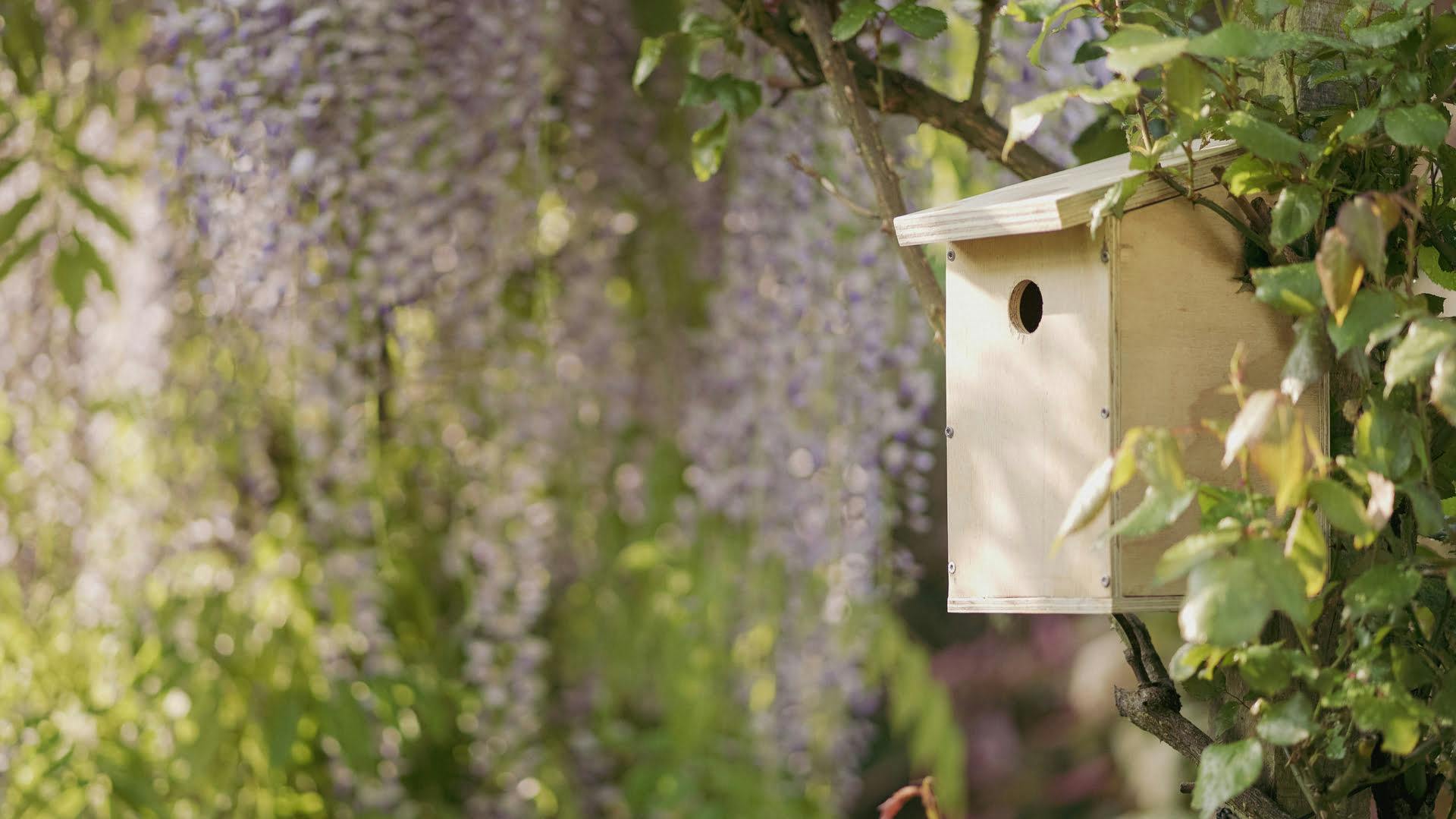 Zelfgemaakt vogelhuis hangt in de tuin naast de blauwe regen