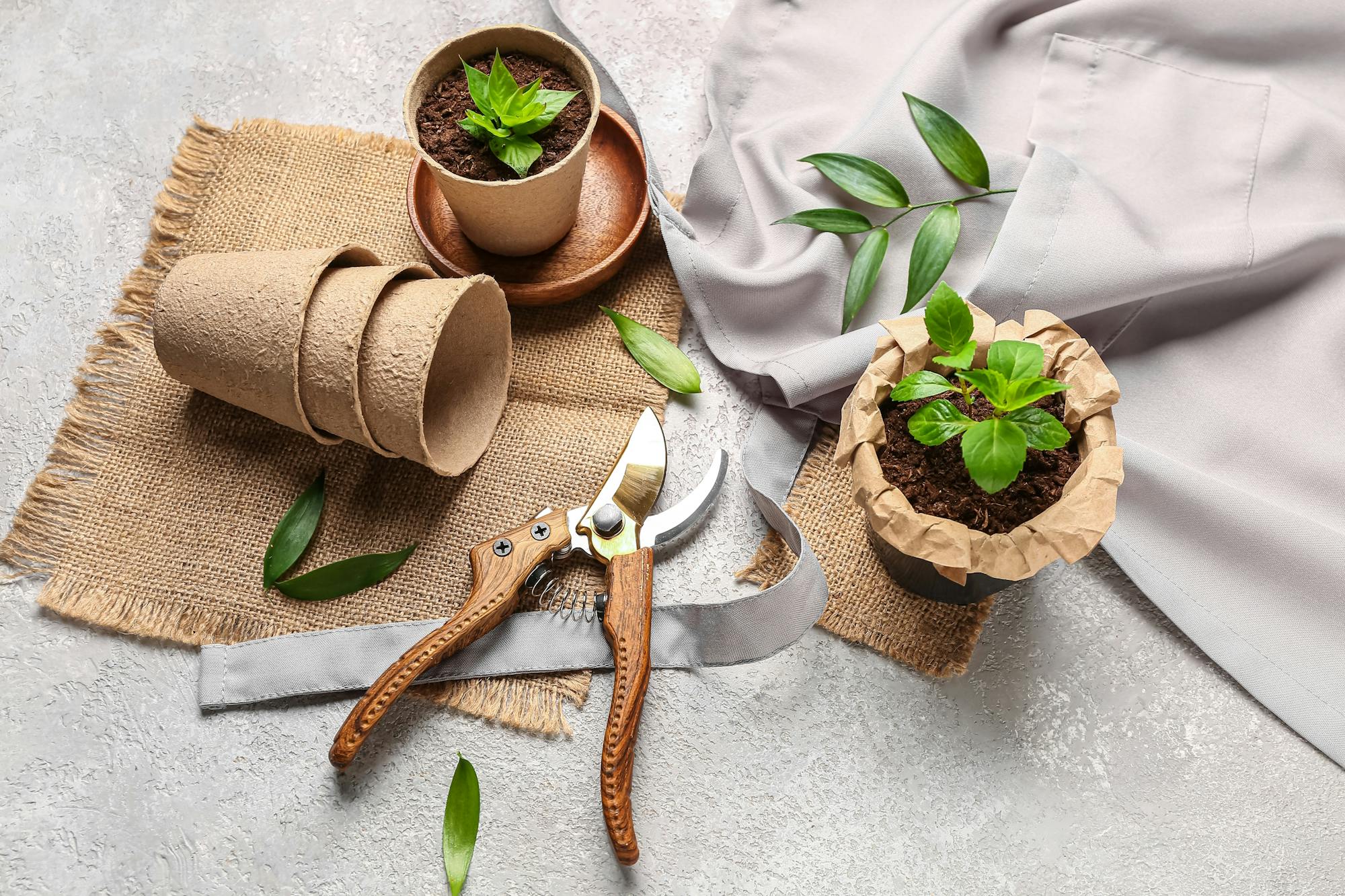 Kleine snoeischaar voor plantjes