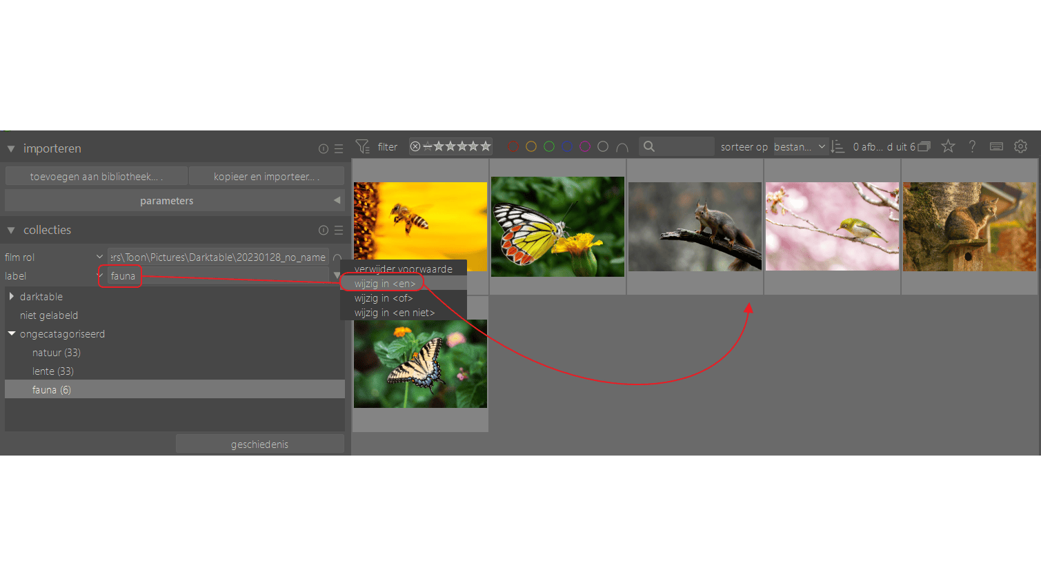 Stel de gewenste filtercombinatie in (hier: een <en>-relatie).