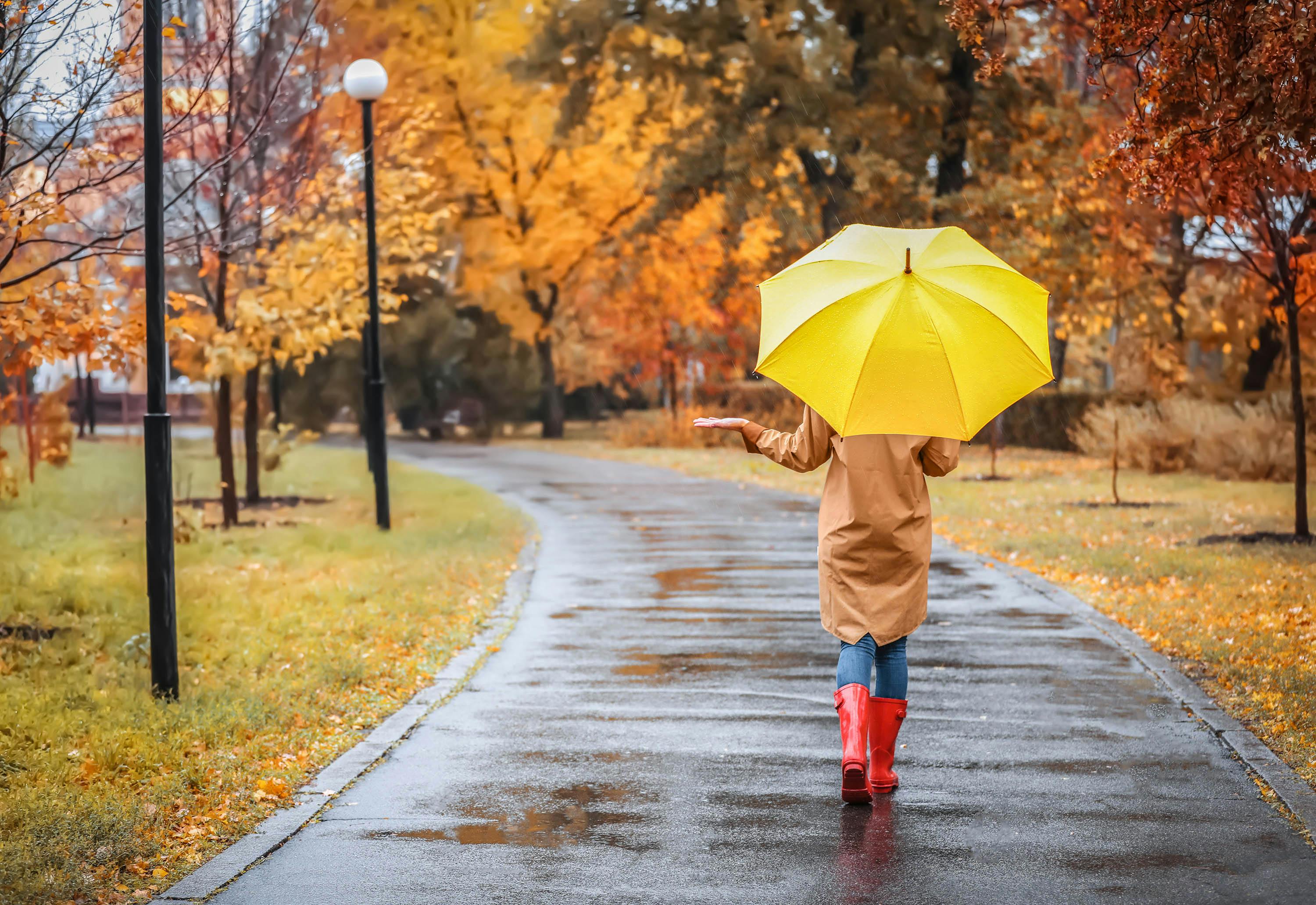 Regen, wind, herfst: hoe betrouwbaar zijn weerapps eigenlijk?