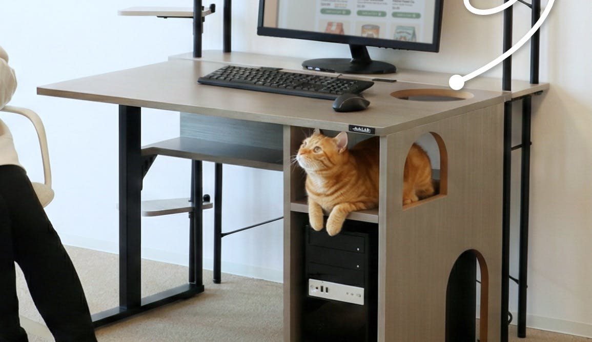 Met dit bureau valt je kat je niet meer lastig tijdens het werken